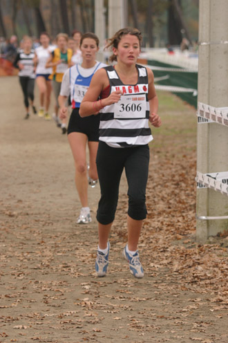 cross 203