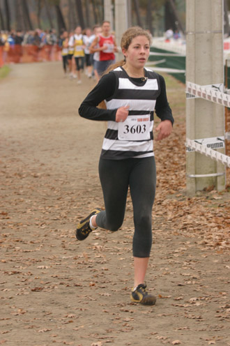 cross 204