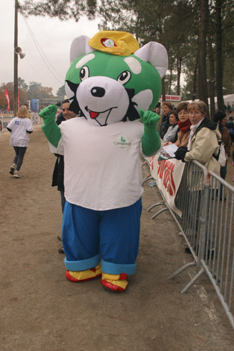 cross 228