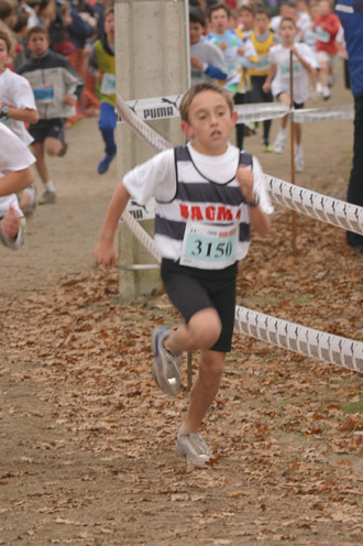 cross 235