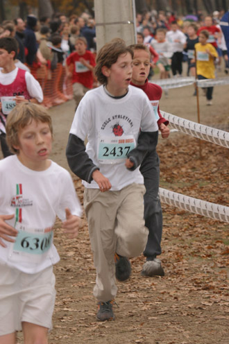 cross 239