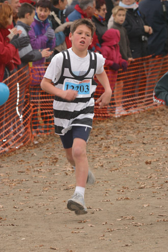 cross 241