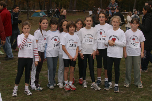 cross 243