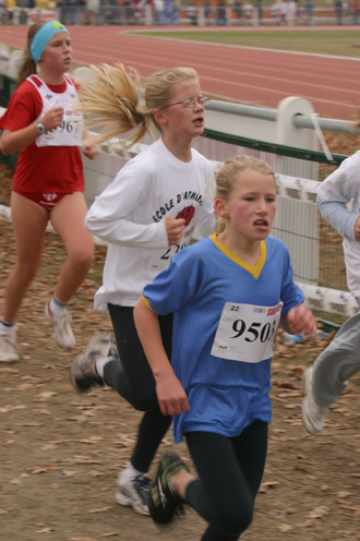 cross 246