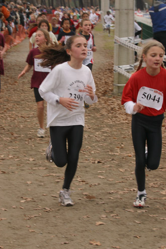 cross 247