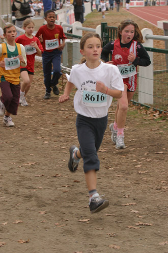 cross 268