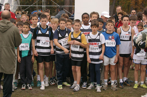 cross 279