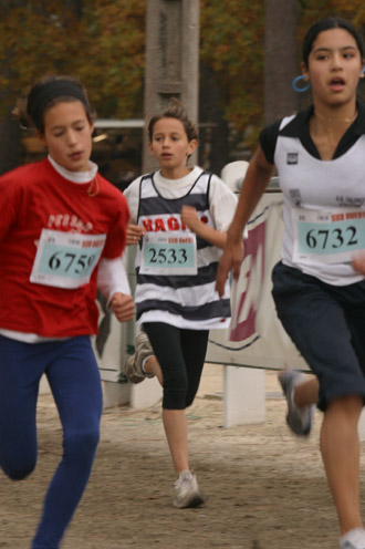 cross 292