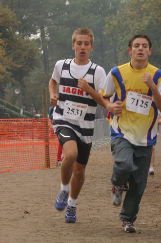 cross 300