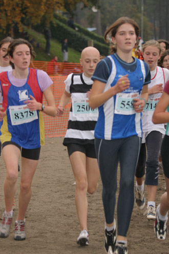 cross 317