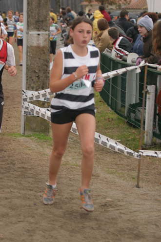 cross 319