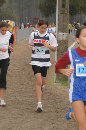 cross 320