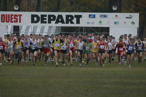 cross 400