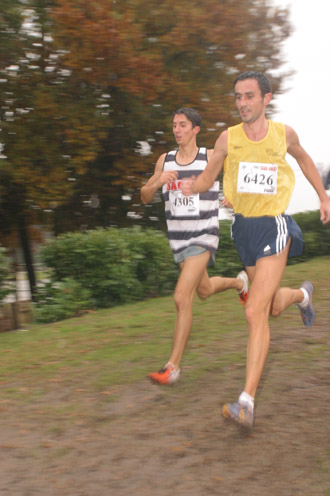 cross 407