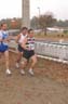 cross 175
