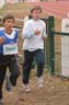 cross 240