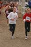 cross 247