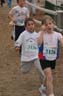 cross 262