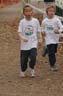 cross 276