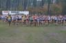 cross 403