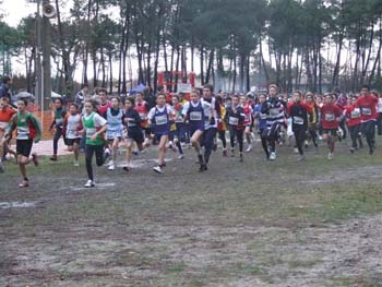 CROSS SO 059