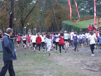 CROSS SO 111