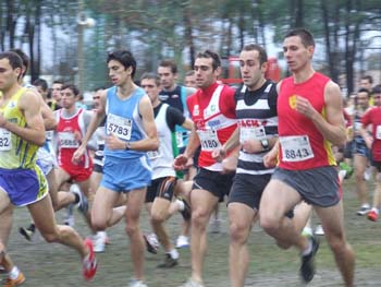 CROSS SO 129