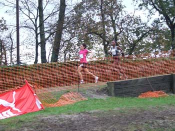CROSS SO 141