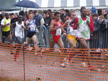 CROSS SO 162
