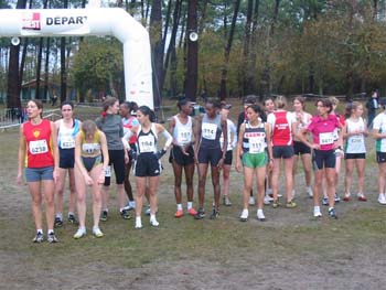 PODIUMS CROSS SO 066