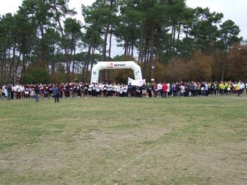 CROSS SO 010