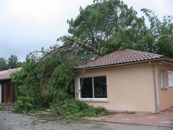 TEMPETE A CHANTE CIGALE 006