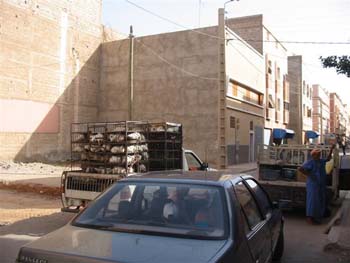 DOUAR AIN CHAIB 2006 051