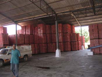 DOUAR AIN CHAIB 2006 101 (2)