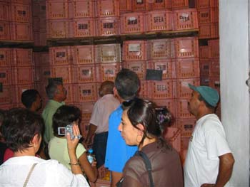 DOUAR AIN CHAIB 2006 102 (2)