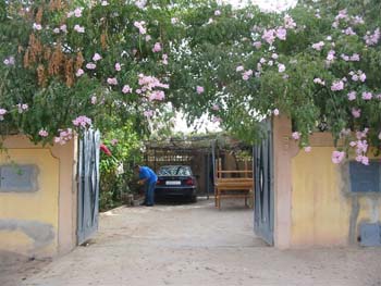 DOUAR AIN CHAIB 2006 118 (2)