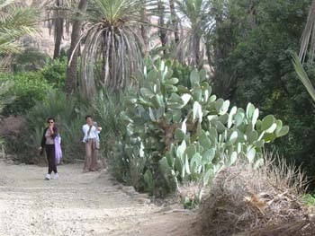 DOUAR AIN CHAIB 2006 128