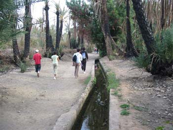DOUAR AIN CHAIB 2006 139