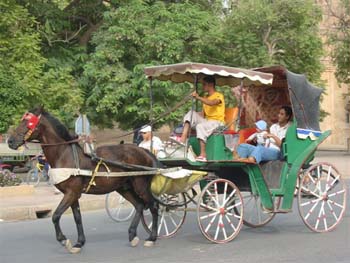 DOUAR AIN CHAIB 2006 225