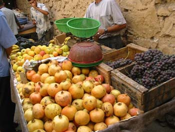 DOUAR AIN CHAIB 2006 229