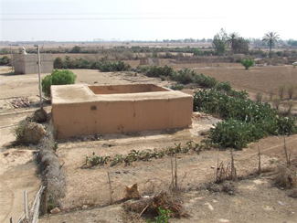 AIN CHAIB 2007 020