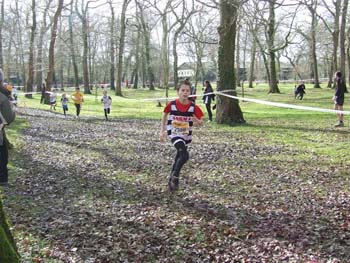 RGX CROSS DAX 024