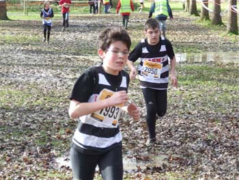 RGX CROSS DAX 029