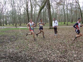 RGX CROSS DAX 057
